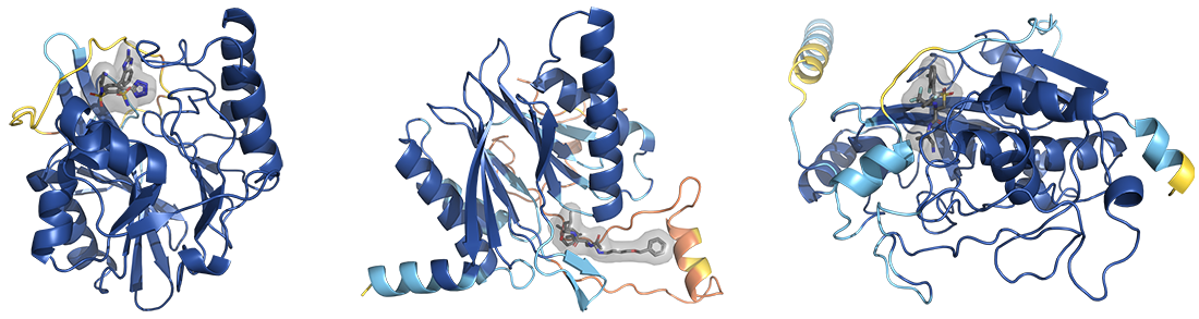 5 million synthetic drug models could...