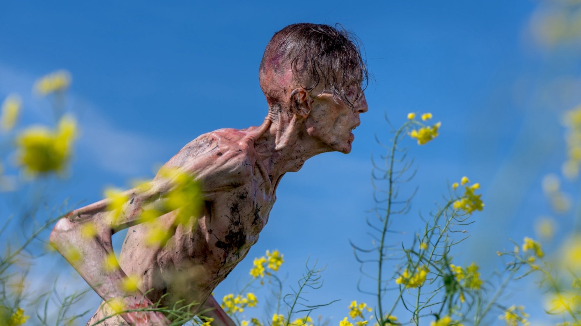 A zombie in a field of flowers against a bright blue sky in 